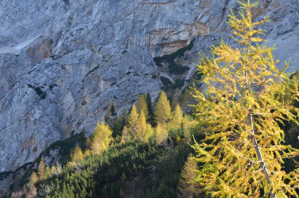 Češka koča, Jezersko 19.10.2014 - foto povečava