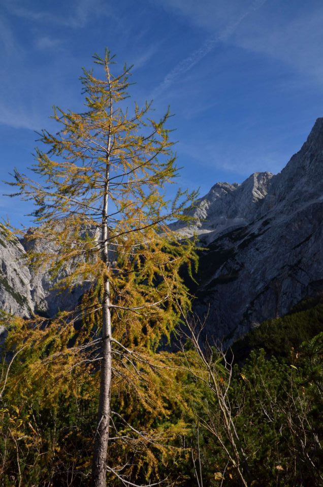 Češka koča, Jezersko 19.10.2014 - foto povečava