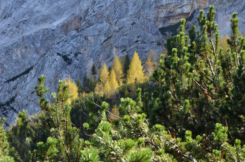 Češka koča, Jezersko 19.10.2014 - foto povečava