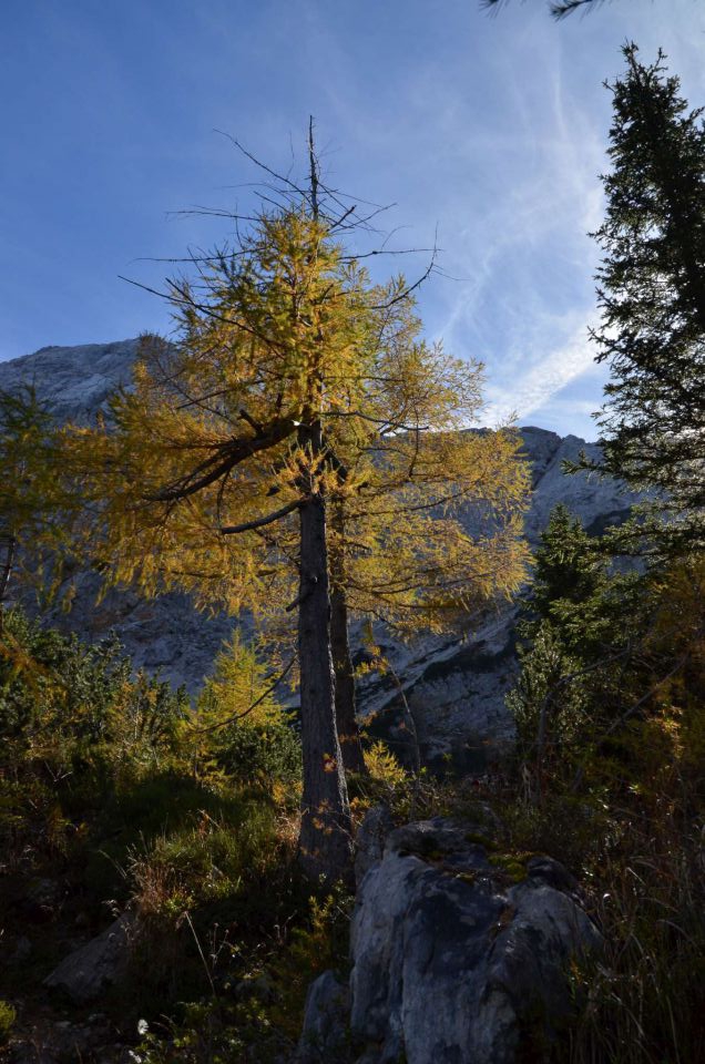 Češka koča, Jezersko 19.10.2014 - foto povečava