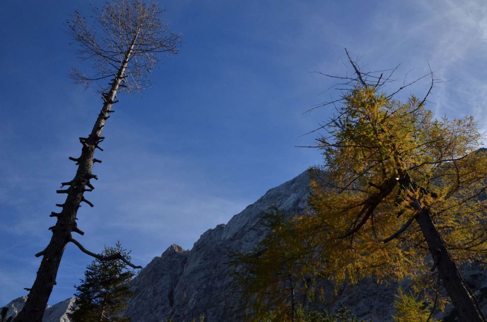 Češka koča, Jezersko 19.10.2014 - foto povečava