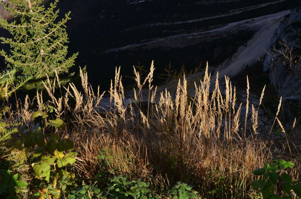 Češka koča, Jezersko 19.10.2014 - foto povečava