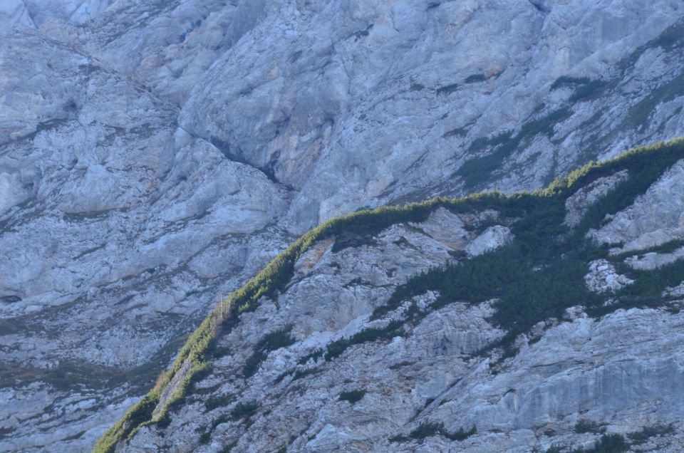 Češka koča, Jezersko 19.10.2014 - foto povečava