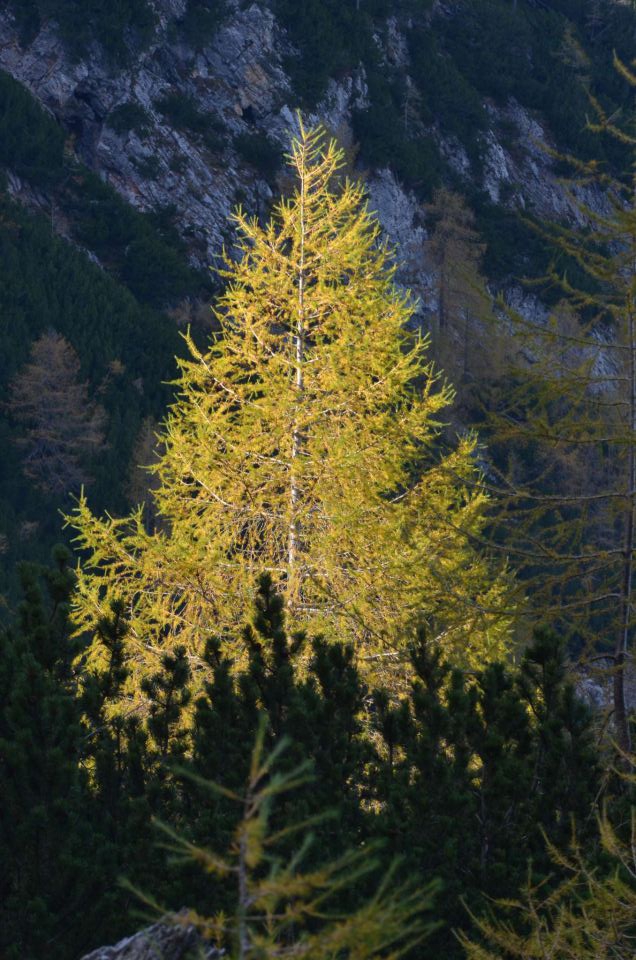 Češka koča, Jezersko 19.10.2014 - foto povečava