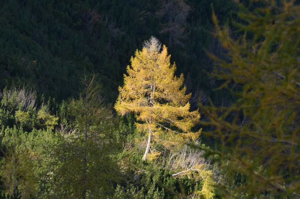 Češka koča, Jezersko 19.10.2014 - foto povečava