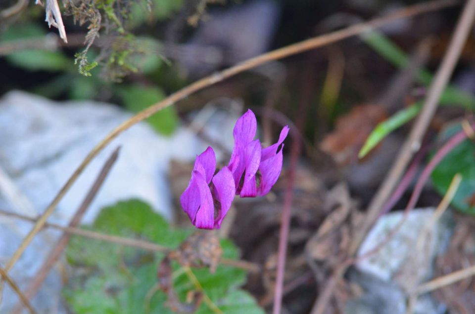 Češka koča, Jezersko 19.10.2014 - foto povečava