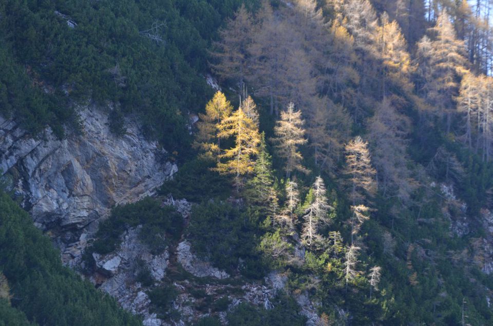 Češka koča, Jezersko 19.10.2014 - foto povečava