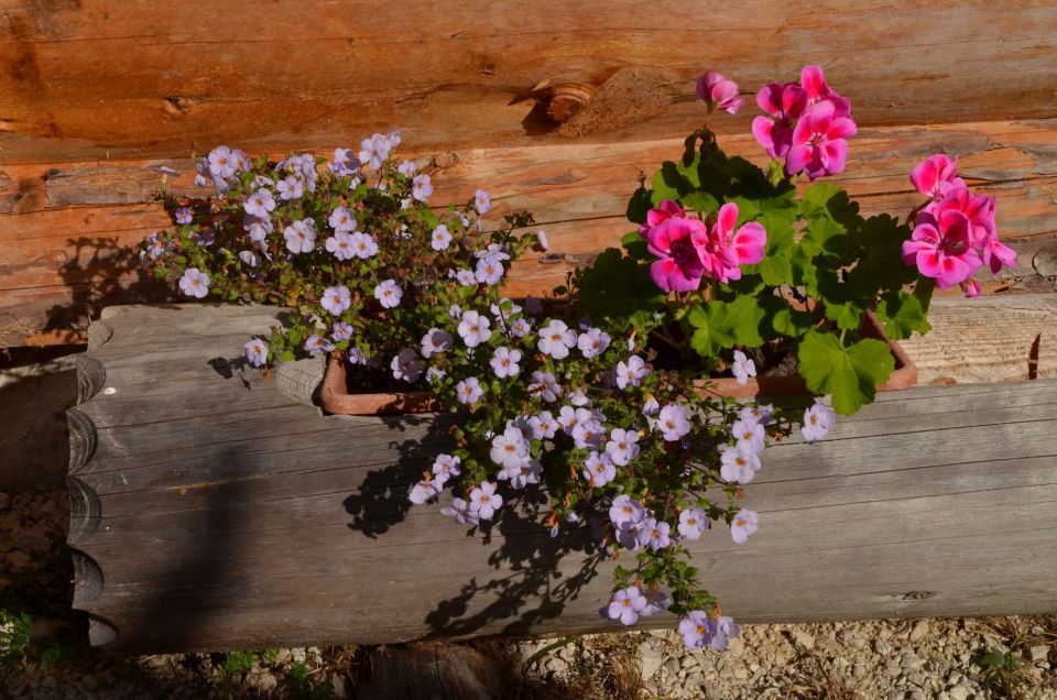 Češka koča, Jezersko 19.10.2014 - foto povečava