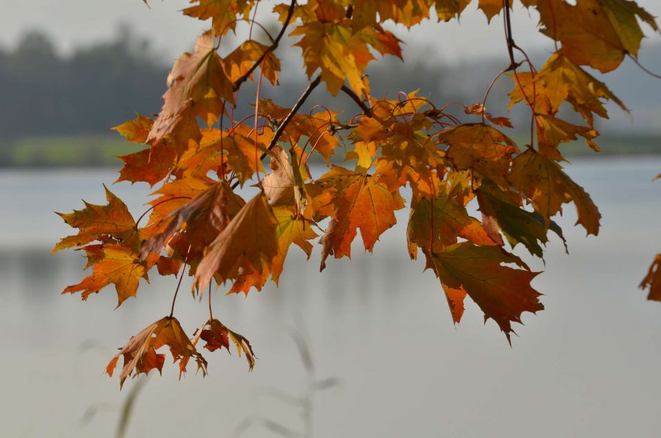 Okrog Velenjskega jezera 31.10.2014 - foto povečava