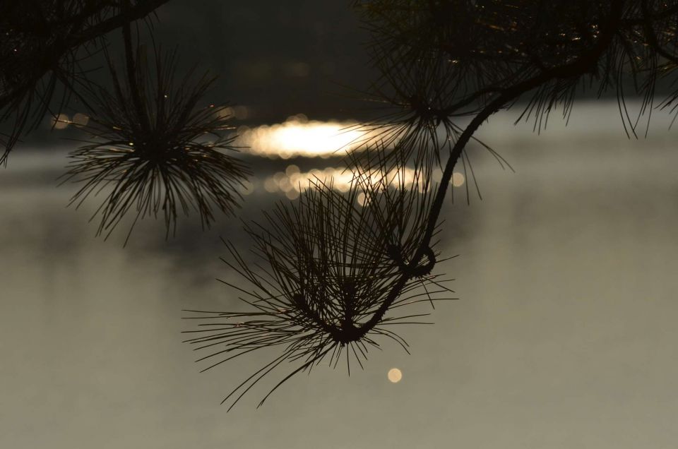 Okrog Velenjskega jezera 31.10.2014 - foto povečava