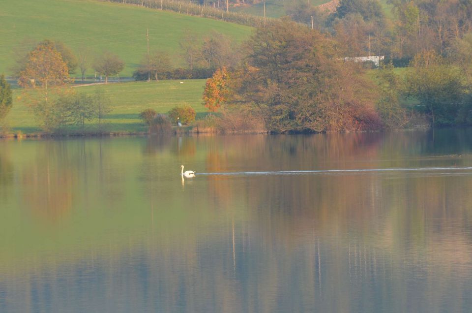 Okrog Velenjskega jezera 31.10.2014 - foto povečava