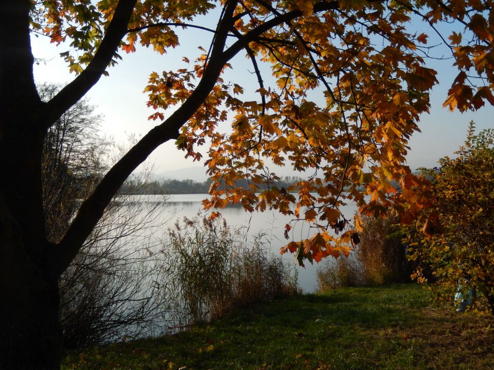 Okrog Velenjskega jezera 31.10.2014 - foto povečava