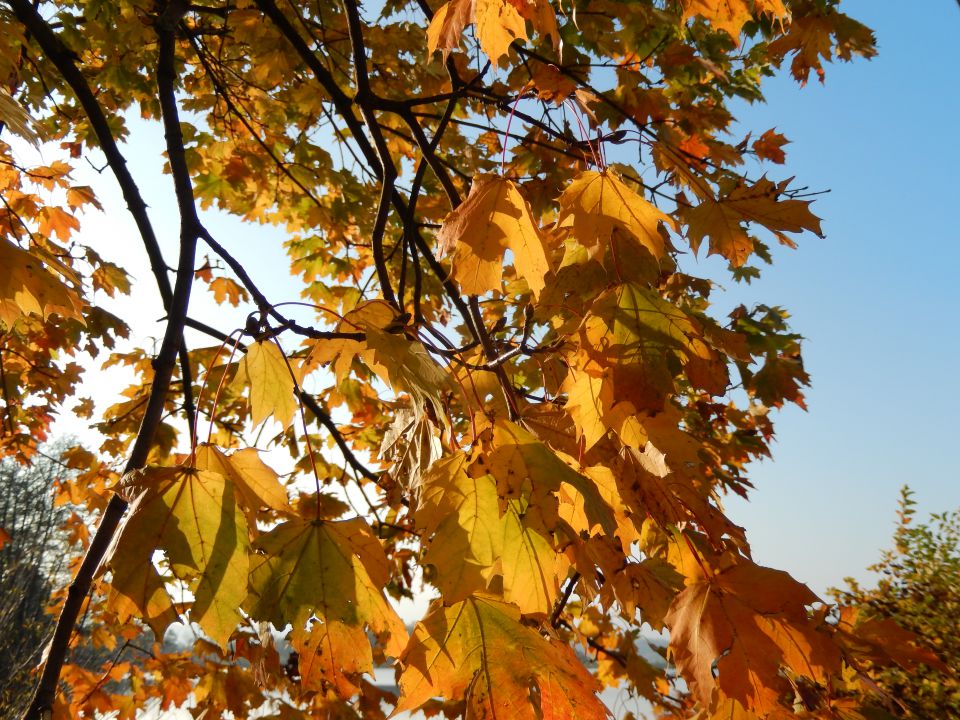 Okrog Velenjskega jezera 31.10.2014 - foto povečava