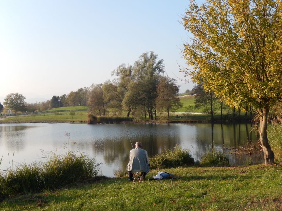 Okrog Velenjskega jezera 31.10.2014 - foto povečava