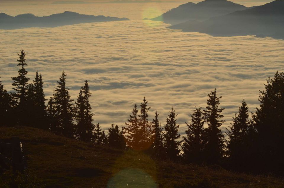 Golte 23.11.2014 - foto povečava