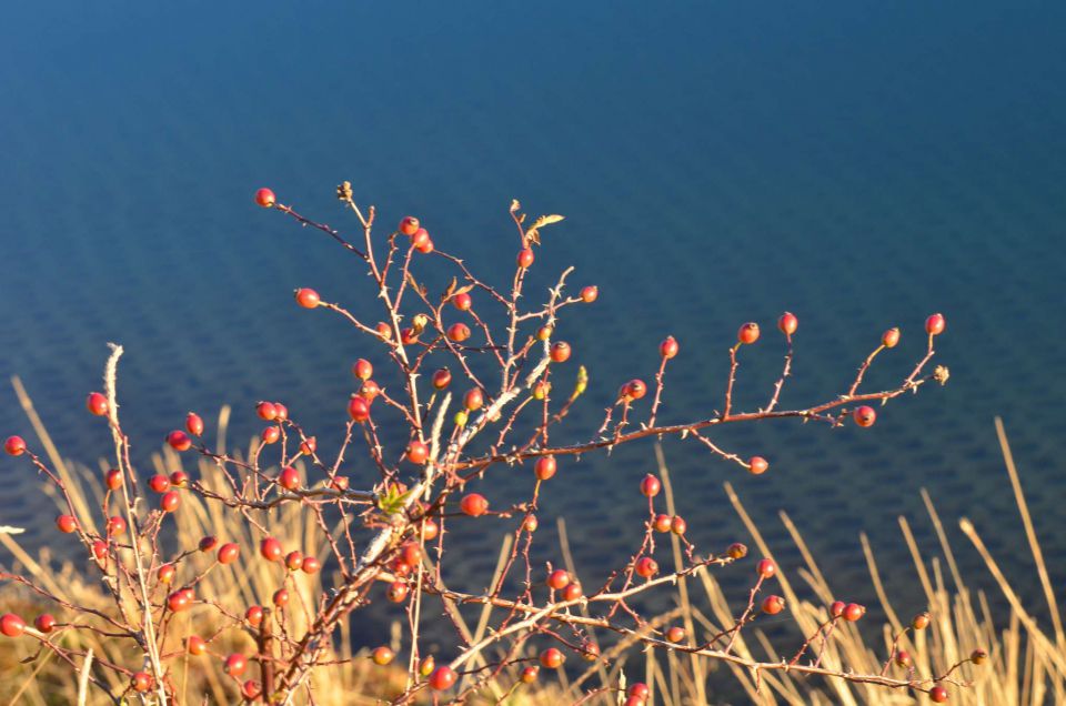 Golte 23.11.2014 - foto povečava