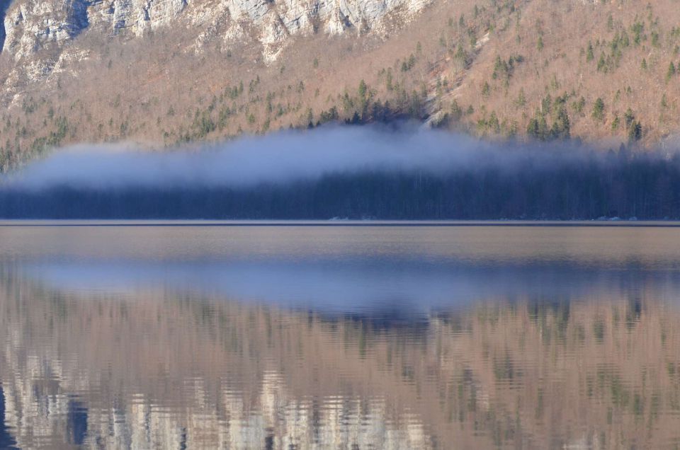 Pokljuka, Vogel 20.12.2014  - foto povečava