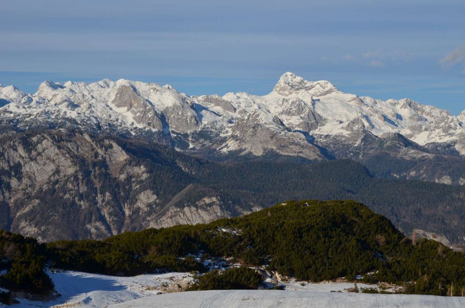 Pokljuka, Vogel 20.12.2014  - foto povečava