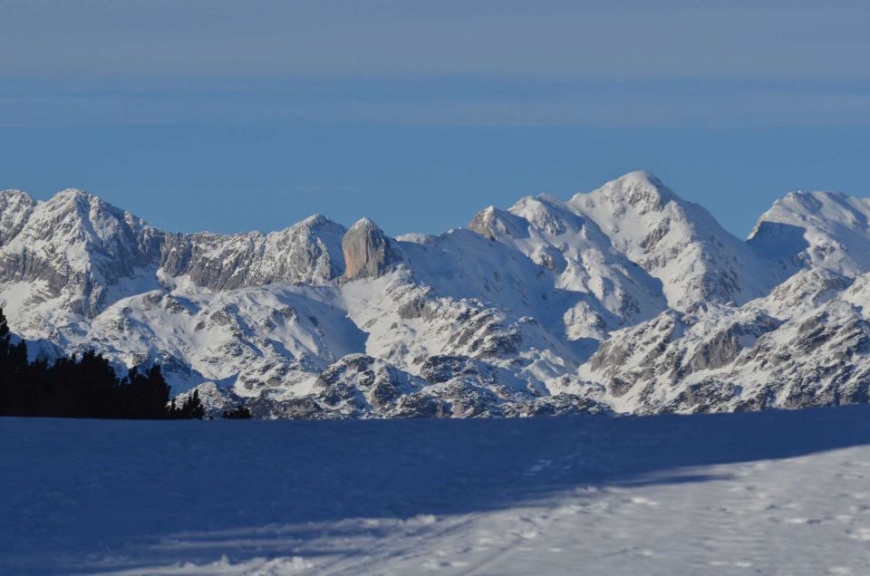 Pokljuka, Vogel 20.12.2014  - foto povečava