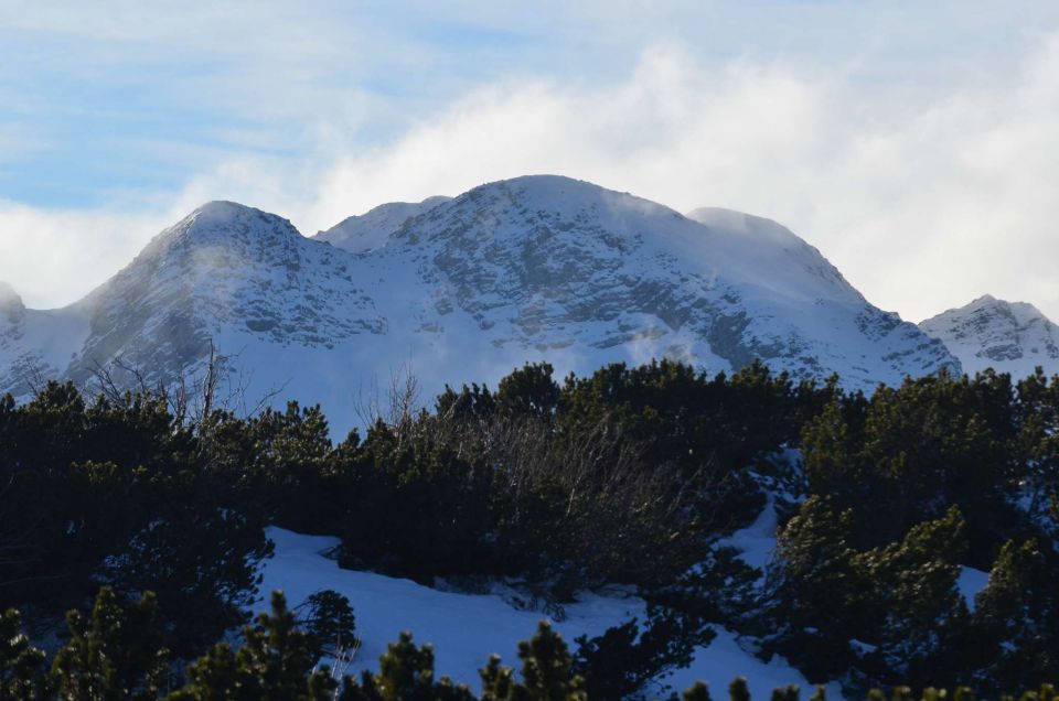 Pokljuka, Vogel 20.12.2014  - foto povečava