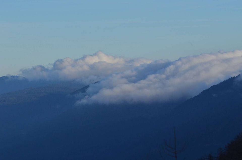 Pokljuka, Vogel 20.12.2014  - foto povečava