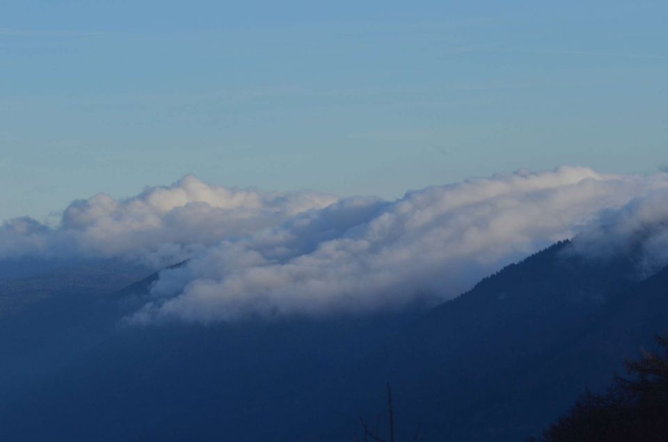 Pokljuka, Vogel 20.12.2014  - foto povečava