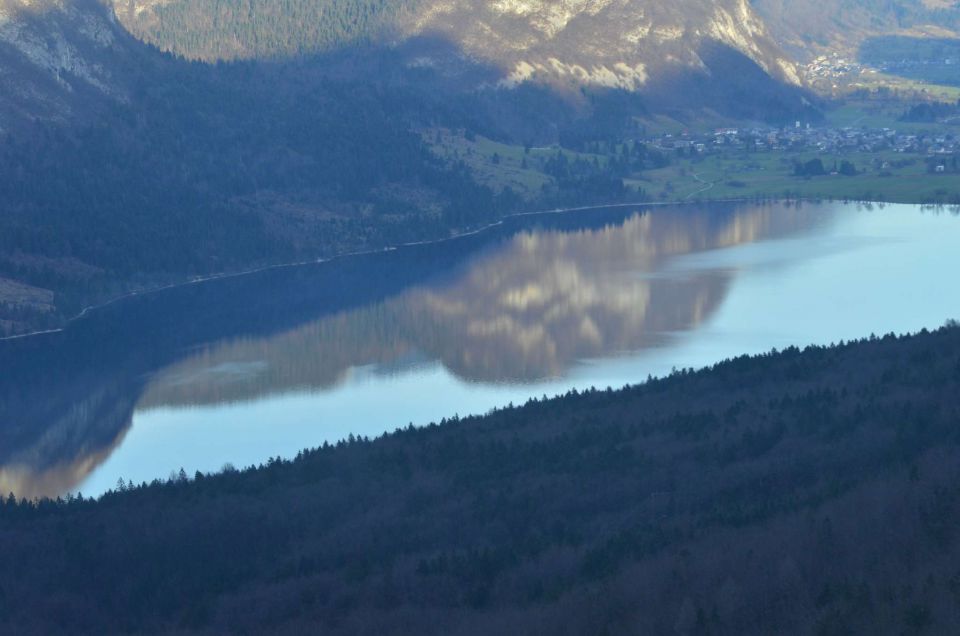 Pokljuka, Vogel 20.12.2014  - foto povečava