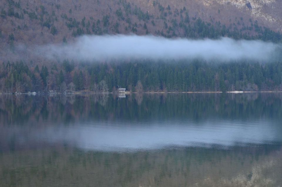 Pokljuka, Vogel 20.12.2014  - foto povečava