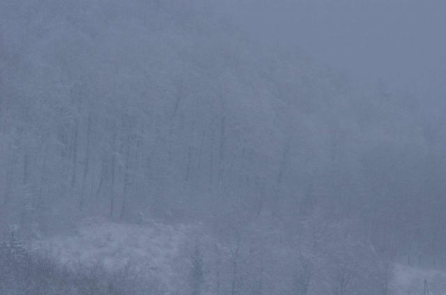 Celjska koča po snegu 28.12.2014 - foto