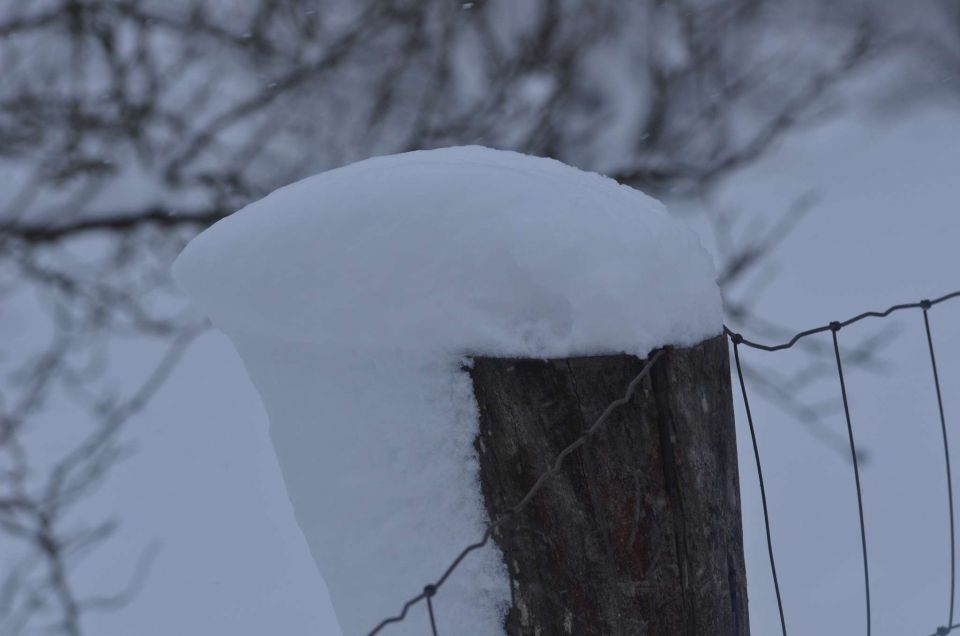 Celjska koča po snegu 28.12.2014 - foto povečava