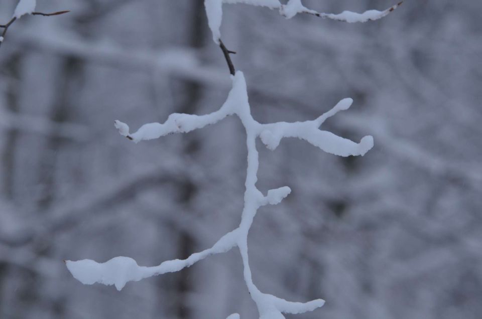 Celjska koča po snegu 28.12.2014 - foto povečava