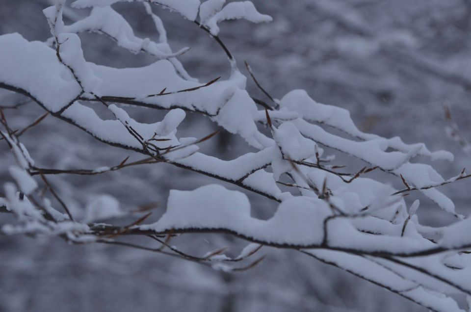 Celjska koča po snegu 28.12.2014 - foto povečava