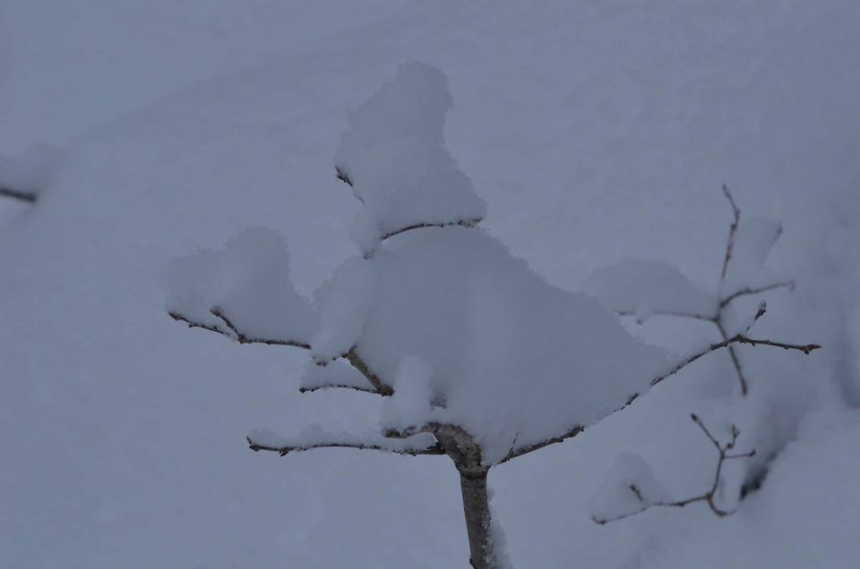 Celjska koča po snegu 28.12.2014 - foto povečava