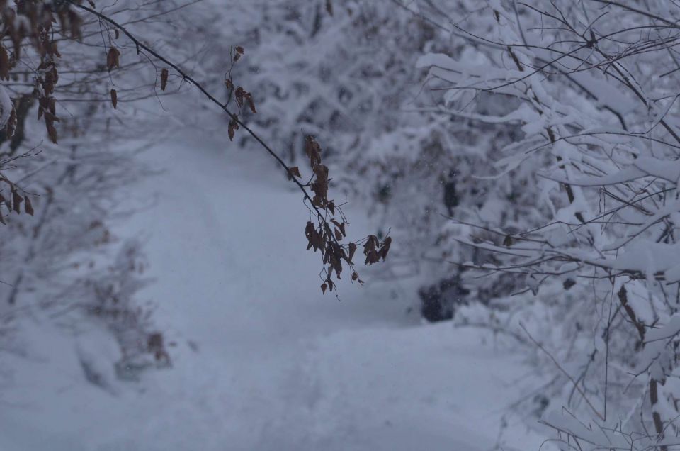 Celjska koča po snegu 28.12.2014 - foto povečava