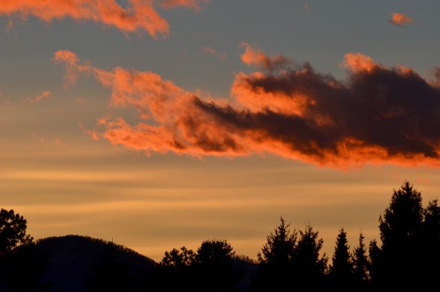 Rogla, Celje 4.1.2015 - foto