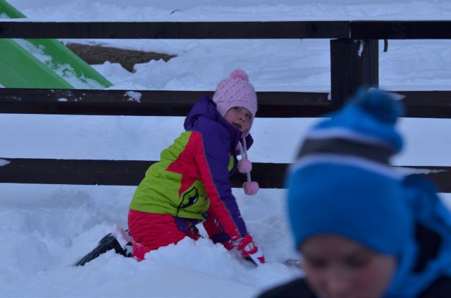 Rogla smučanje 25.1.2015 - foto