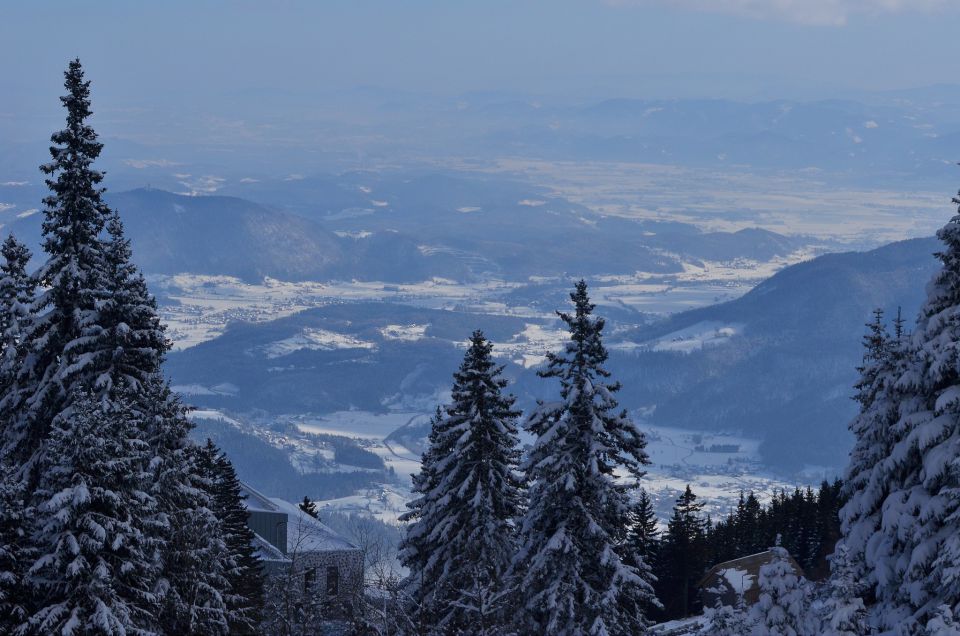 Golte smučanje 31.1.2015 - foto povečava