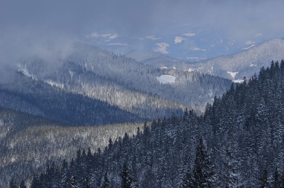 Golte smučanje 31.1.2015 - foto povečava