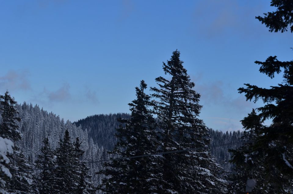 Golte smučanje 31.1.2015 - foto povečava