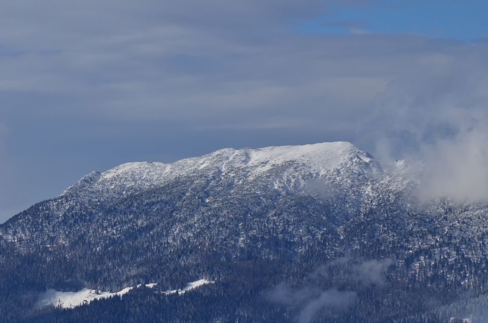 Golte smučanje 31.1.2015 - foto povečava