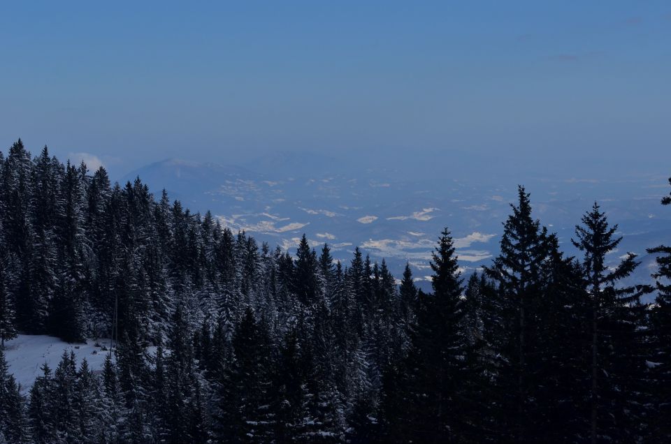 Golte smučanje 31.1.2015 - foto povečava