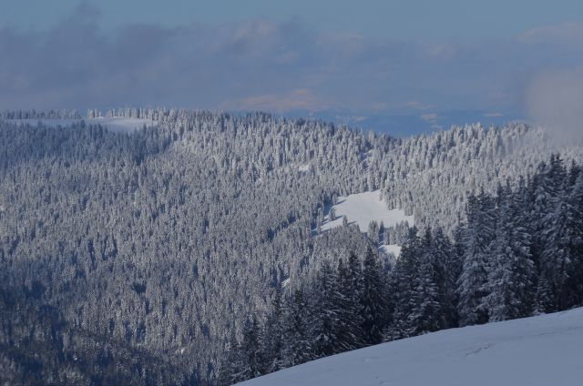 Golte smučanje 31.1.2015 - foto