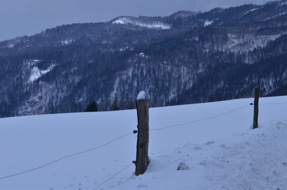 Savinjska 8.2.2015 - foto povečava