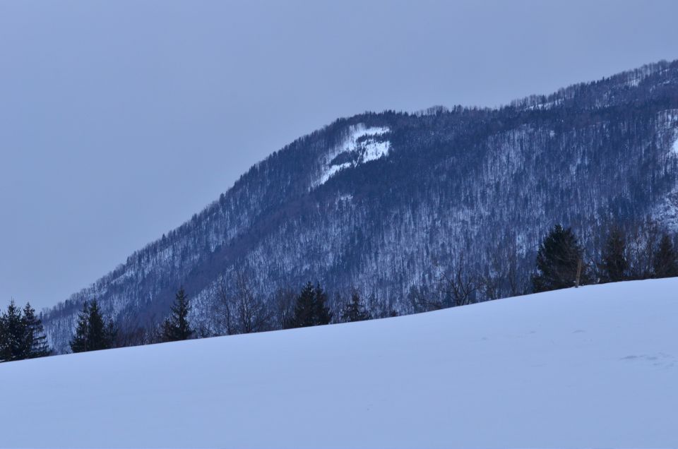 Savinjska 8.2.2015 - foto povečava