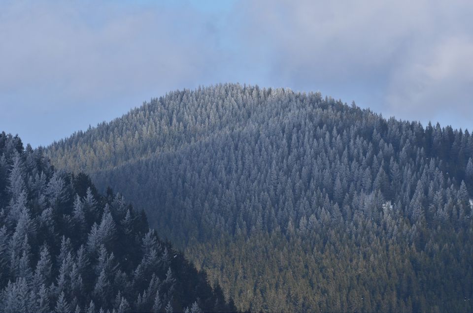 Golte smučanje 14.2.2015 - foto povečava