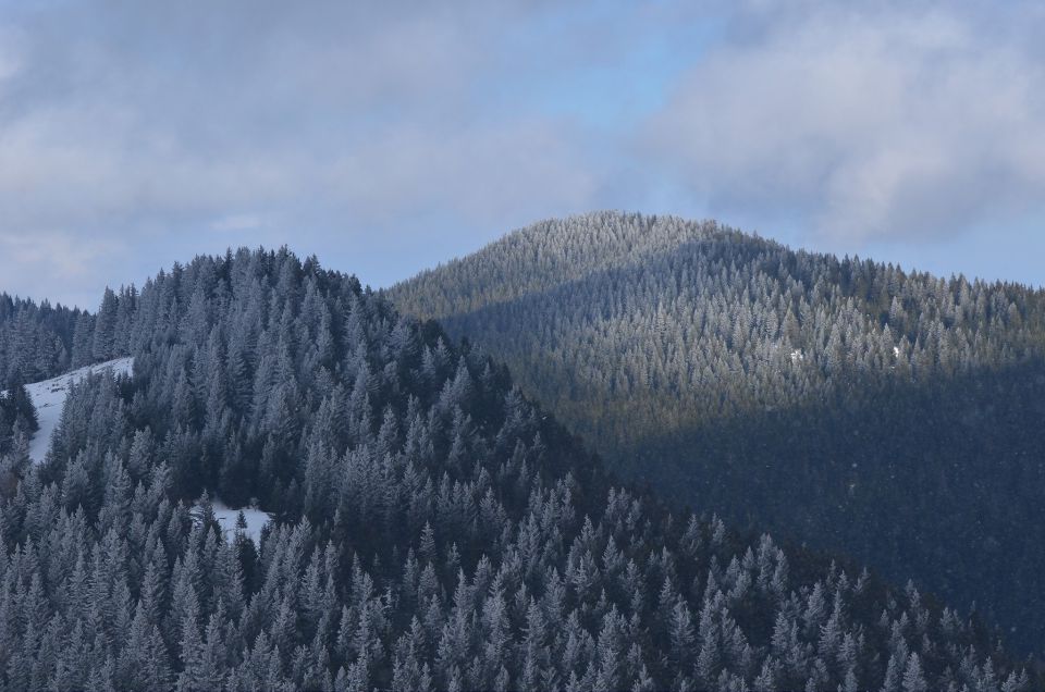 Golte smučanje 14.2.2015 - foto povečava