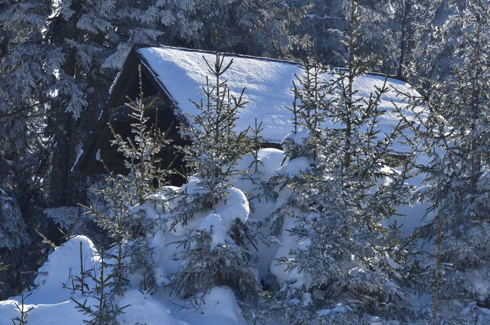 Rogla smučanje 27.2.2015 - foto povečava