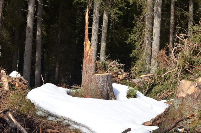 Blejska koča 29.3.2015 - foto