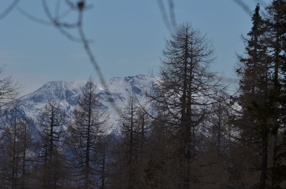 Blejska koča 29.3.2015 - foto povečava