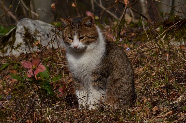 Savinjska od sonca do snega 5.4.2015 - foto